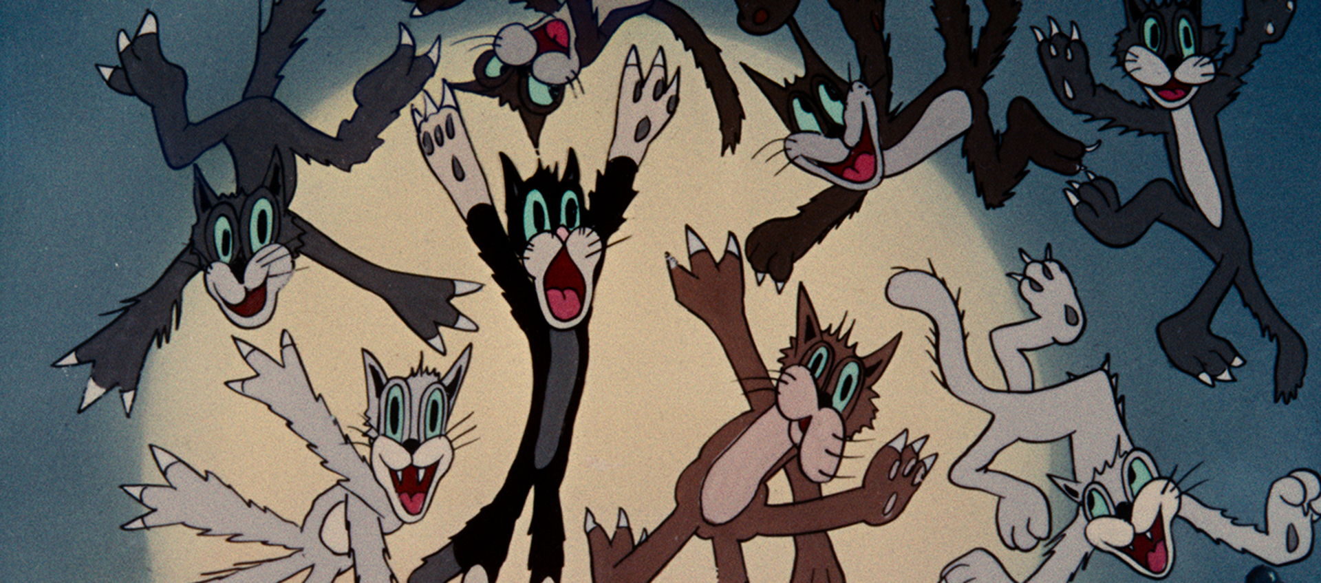 A group of animated cats fly in the air. The sun shines behind them.