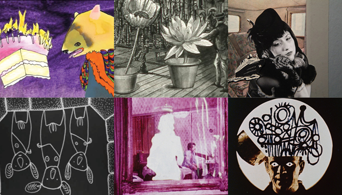 Six stills from films in the Any-mation shorts program.