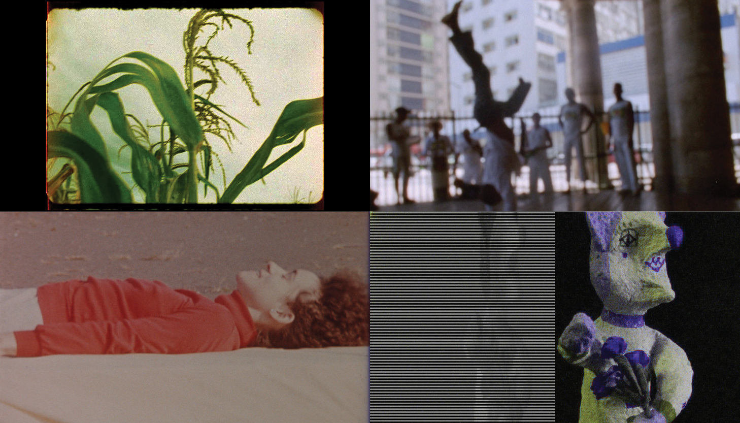 Four stills from the Reel Rhythms shorts program.