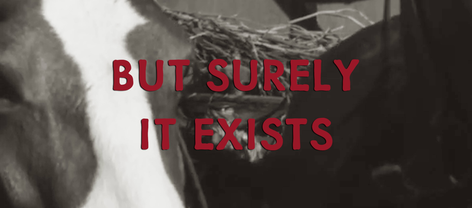 A close up of a horse with overlaid text stating "But surely it exists."