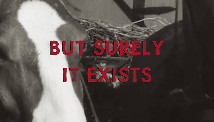 A close up of a horse with overlaid text stating "But surely it exists."