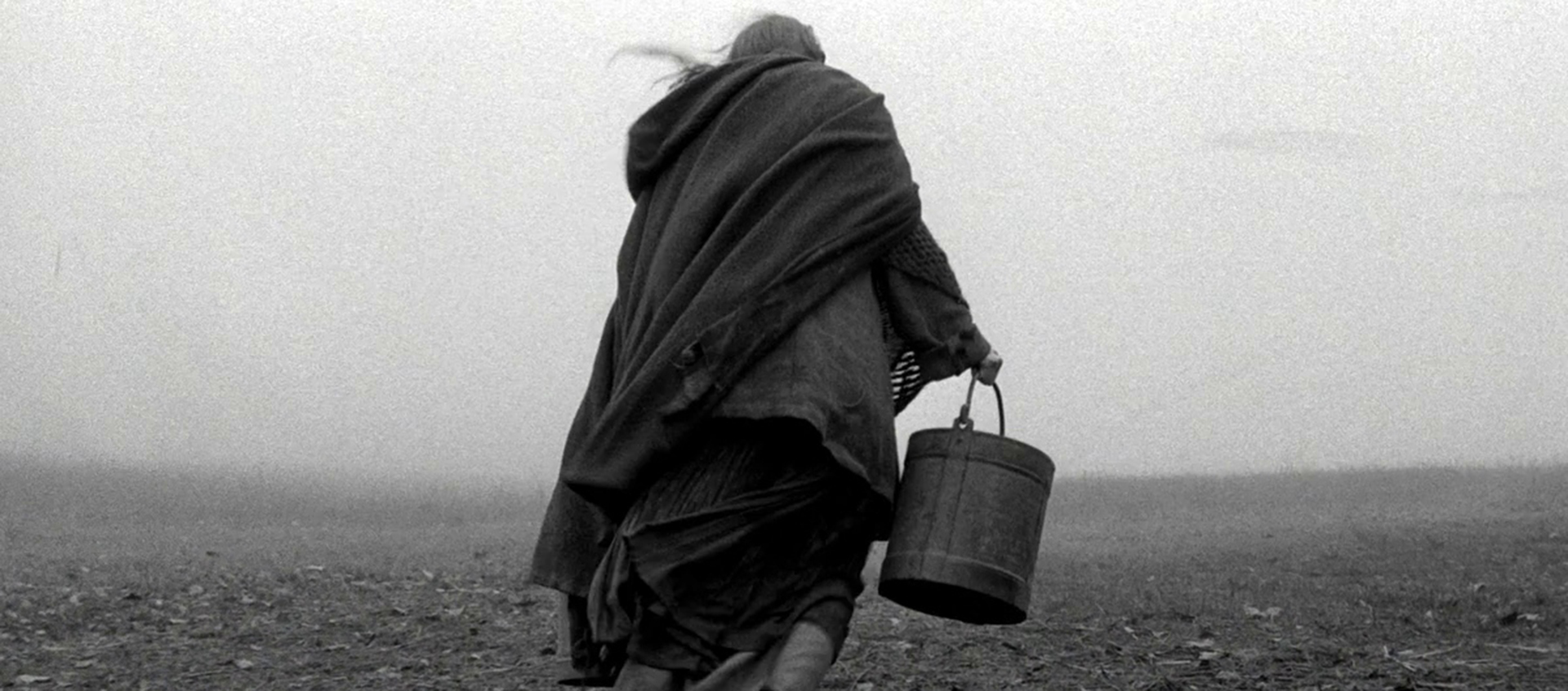 The back of person holding a bucket, wearing many layers, walking through a fallow field.
