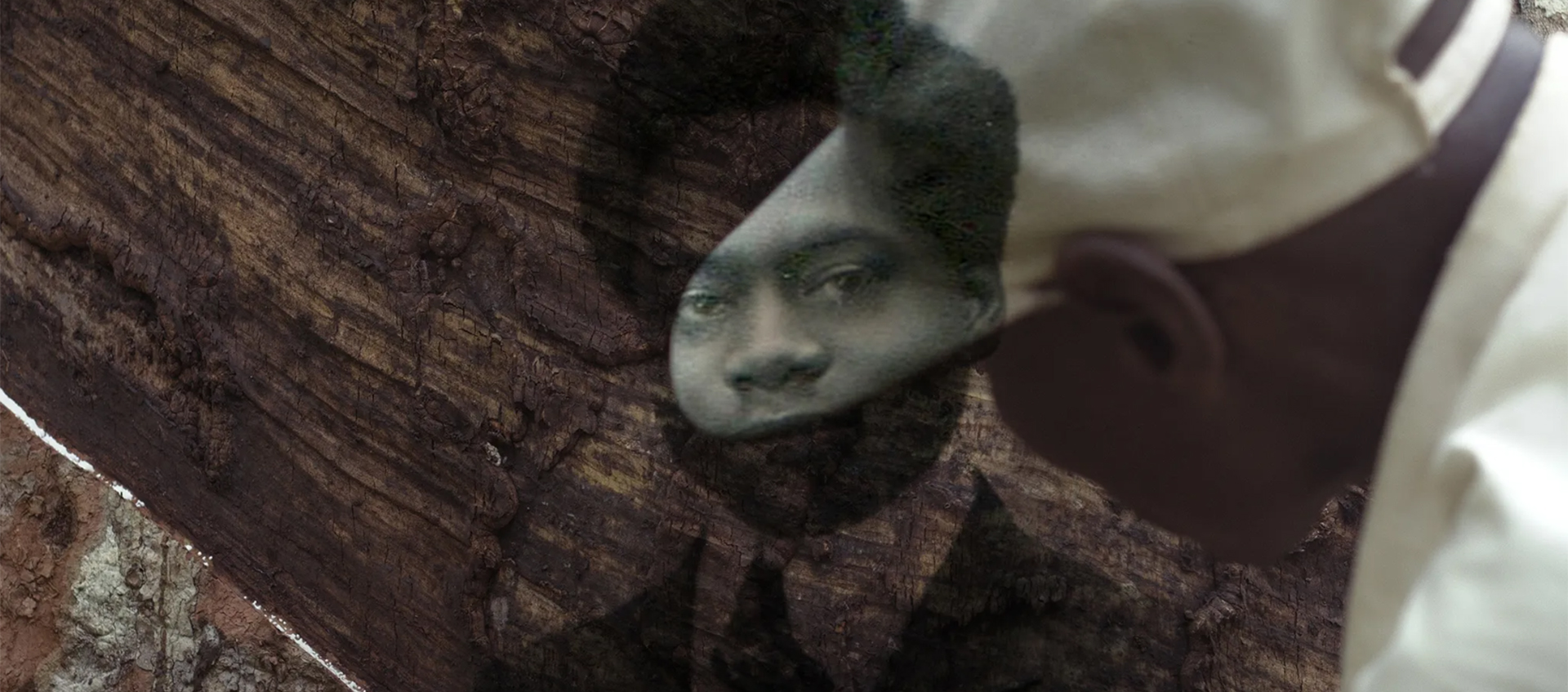 A person in a white cap examines a tree trunk with a translucent vintage portrait of a man's face superimposed on the bark.