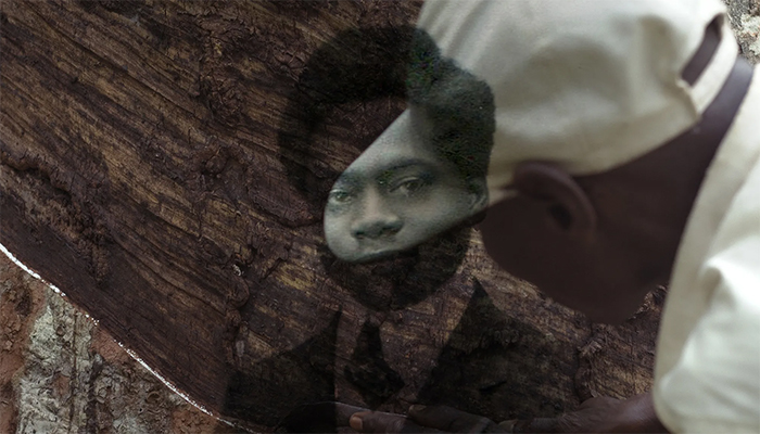 A person in a white cap examines a tree trunk with a translucent vintage portrait of a man's face superimposed on the bark.