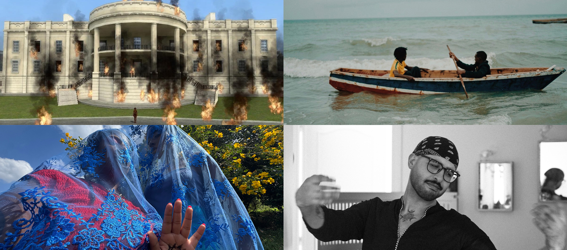 Four stills from the videos in seeds in a dying colony.