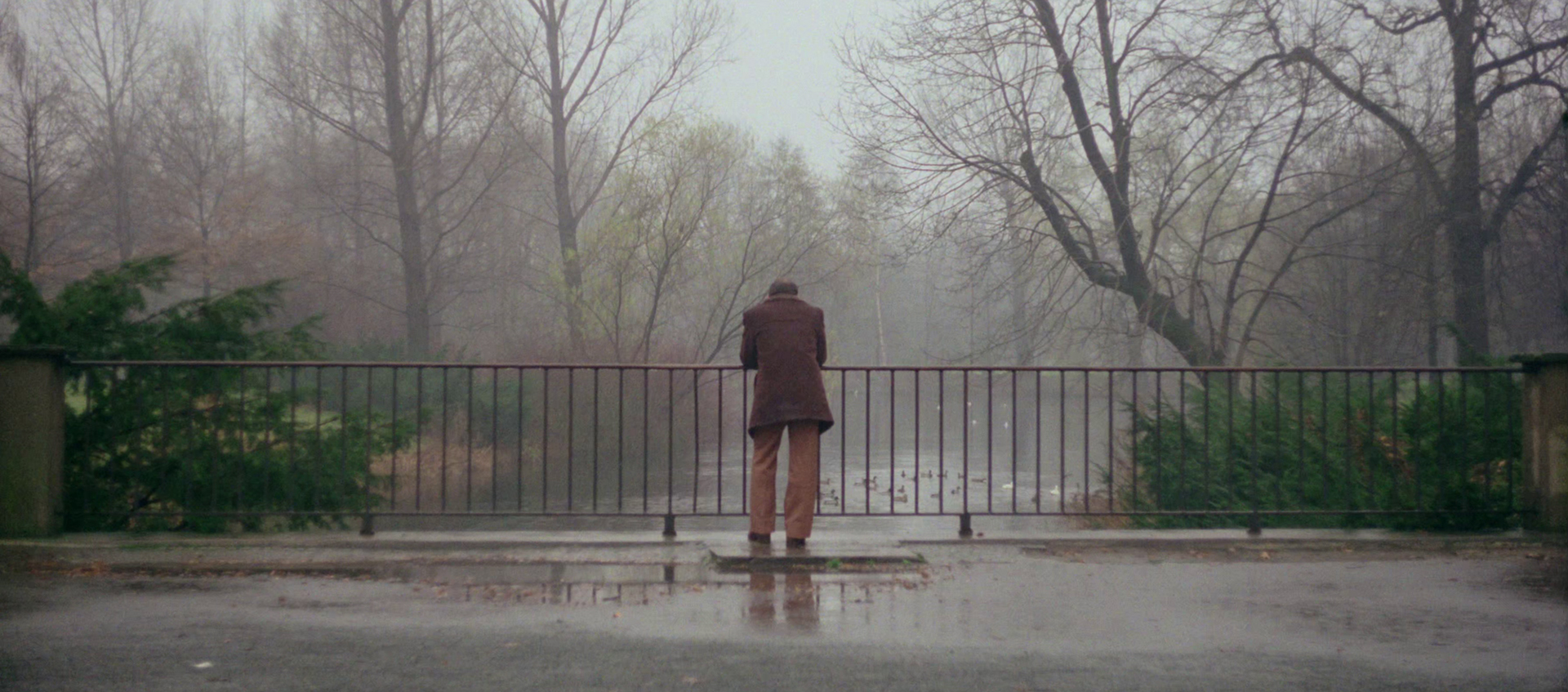 a person stands against a fence facing away from the camera overlooking misty, leafless trees.