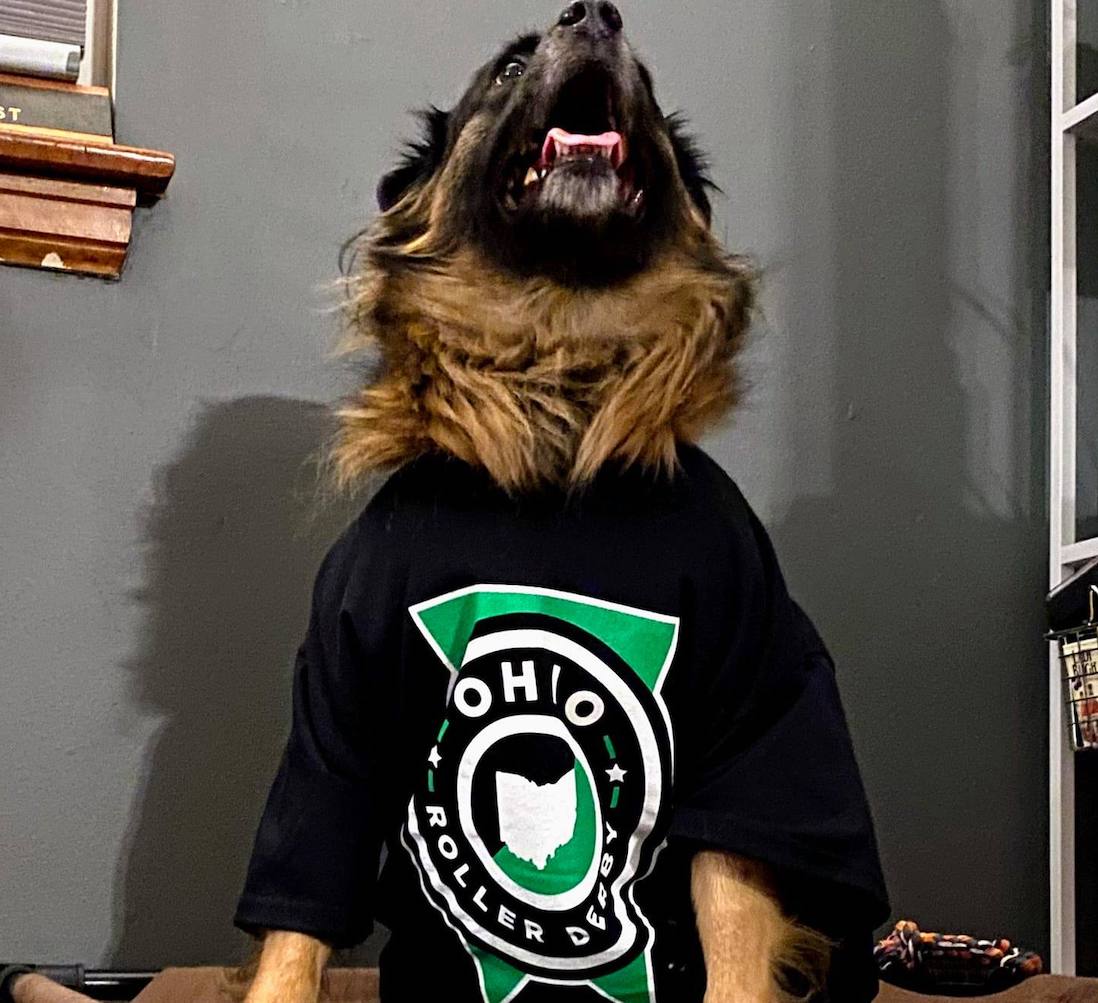 A large, brown and black mixed breed dog sits at center frame, his head is tilted up so his teeth are visible and he's wearing a black Ohio Roller Girls t-shirt